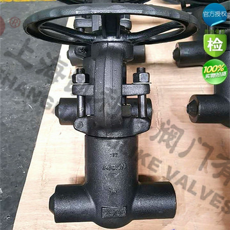 Z61Y、Z41Y鍛鋼自密封閘閥